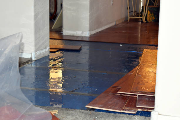 Professional Burst Pipe Cleanup technician working in Valley Spring, TX